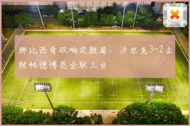 柳比西奇双响定胜局，沙尔克3-2击败帕德博恩全取三分