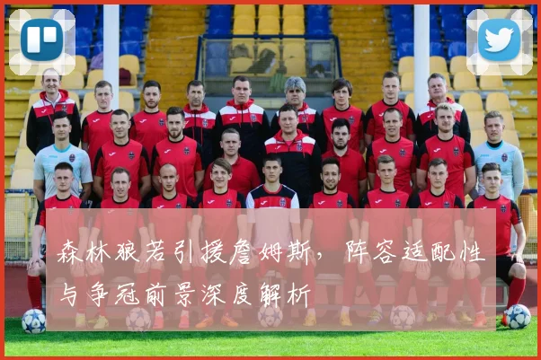 森林狼若引援詹姆斯，阵容适配性与争冠前景深度解析