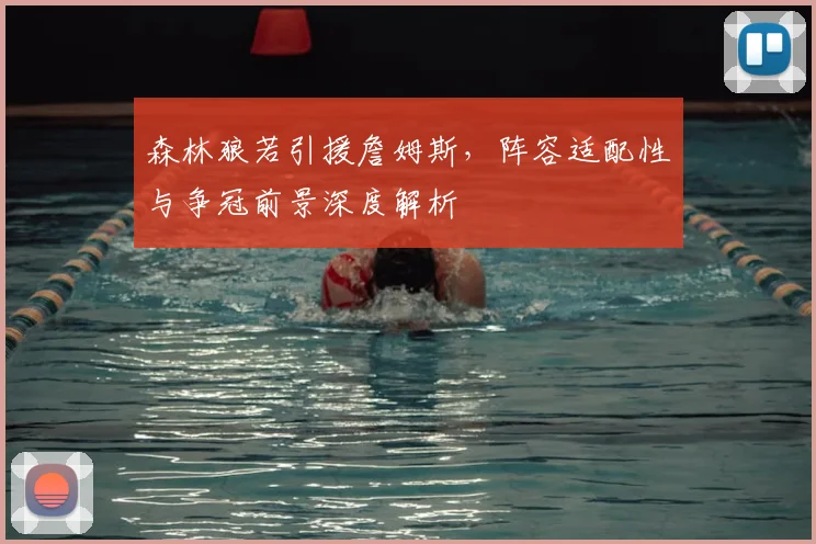 森林狼若引援詹姆斯，阵容适配性与争冠前景深度解析
